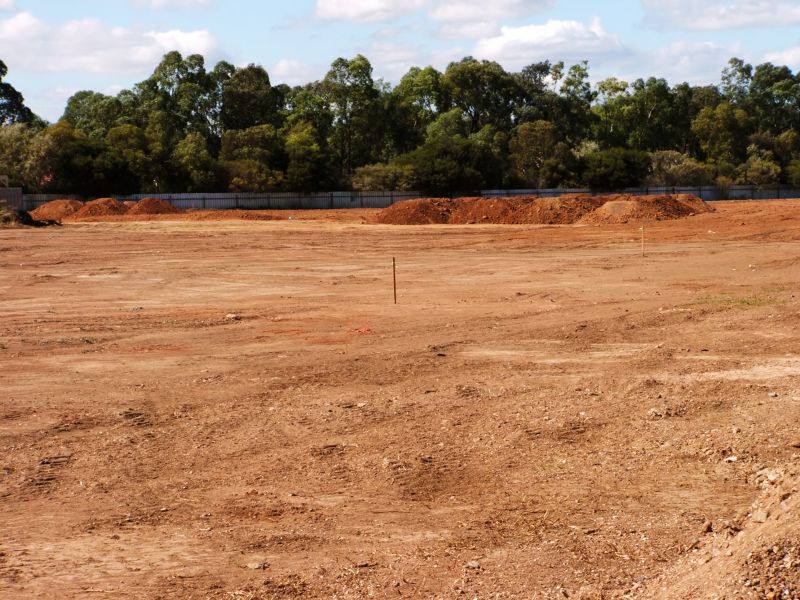 Site Clearing and Grading