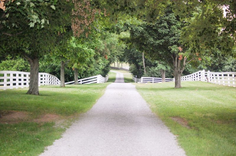 Products For Gravel Driveway Repairs in use